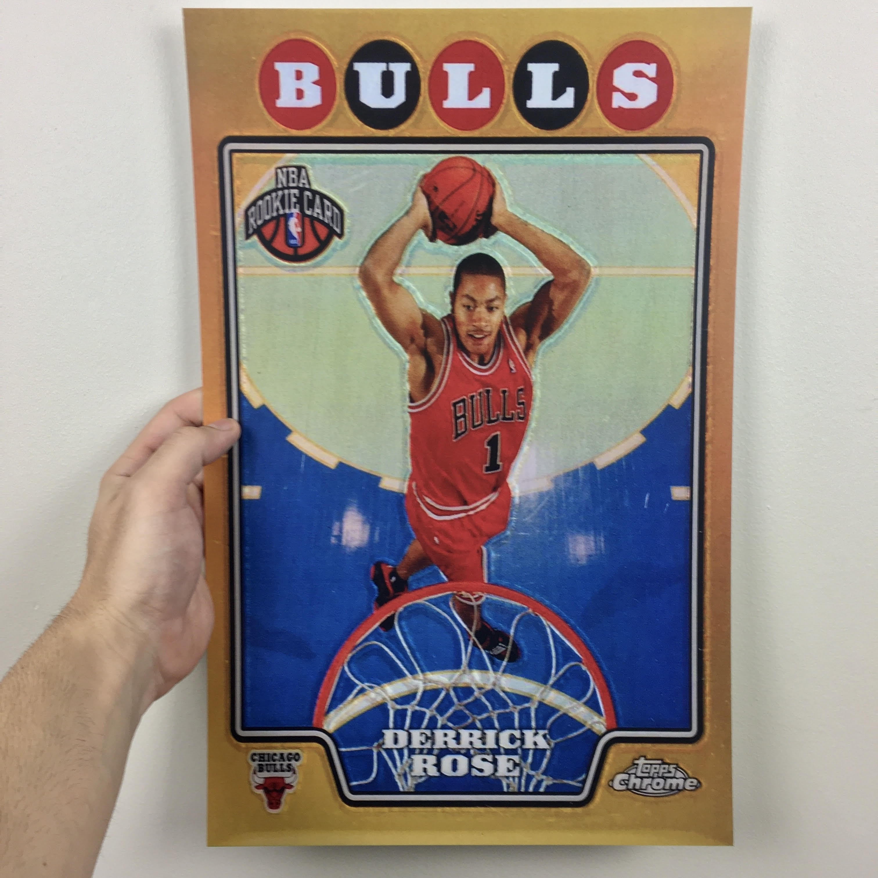 Derrick Rose Poster