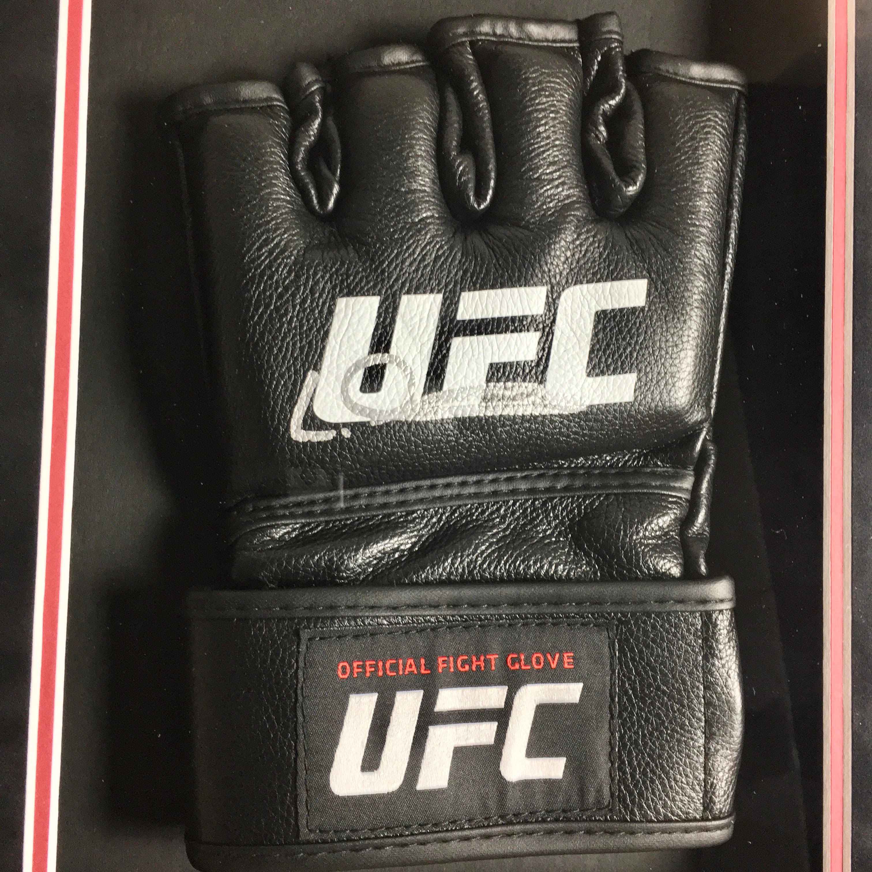 Leon Edwards Signed Gloves Framed