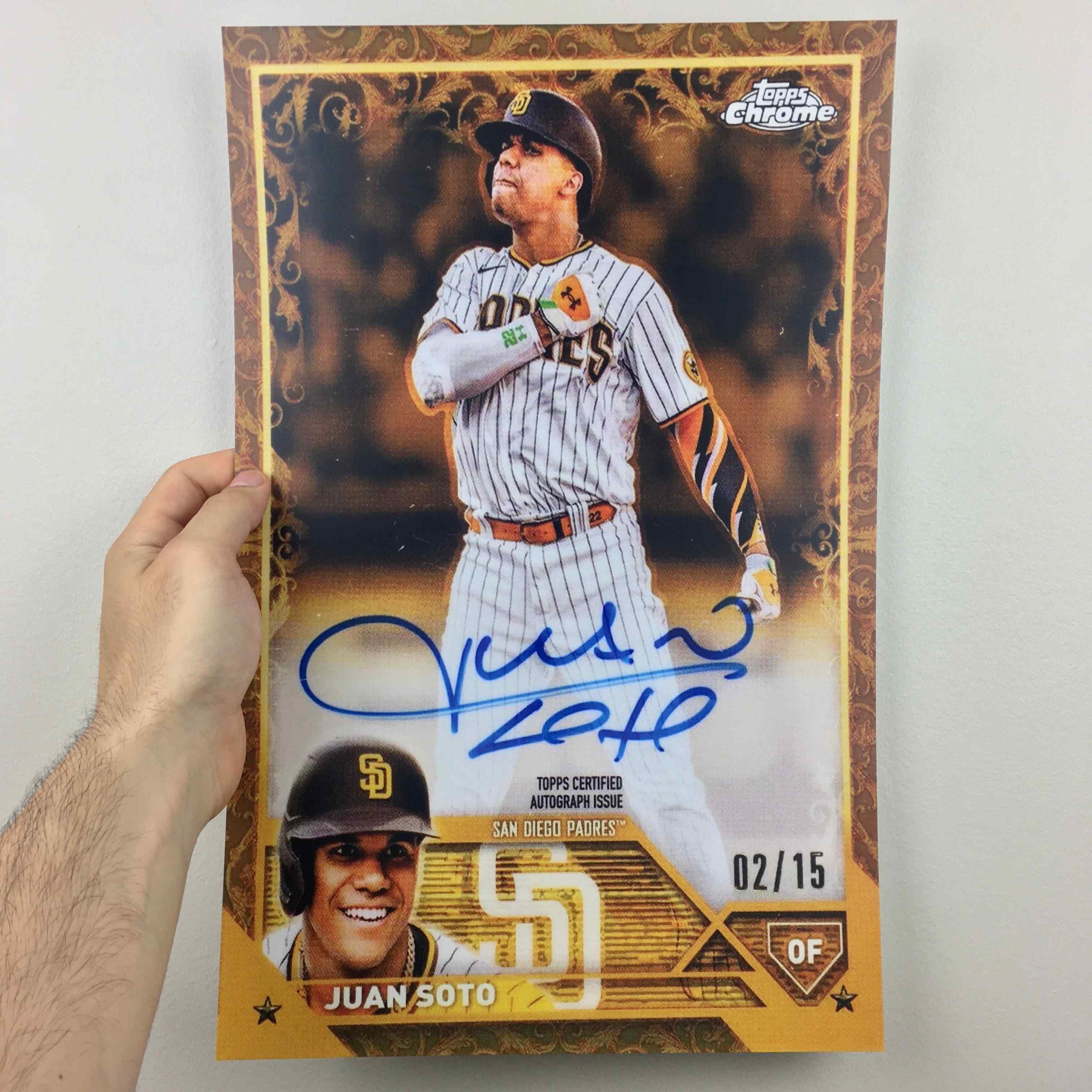 Juan Soto Poster