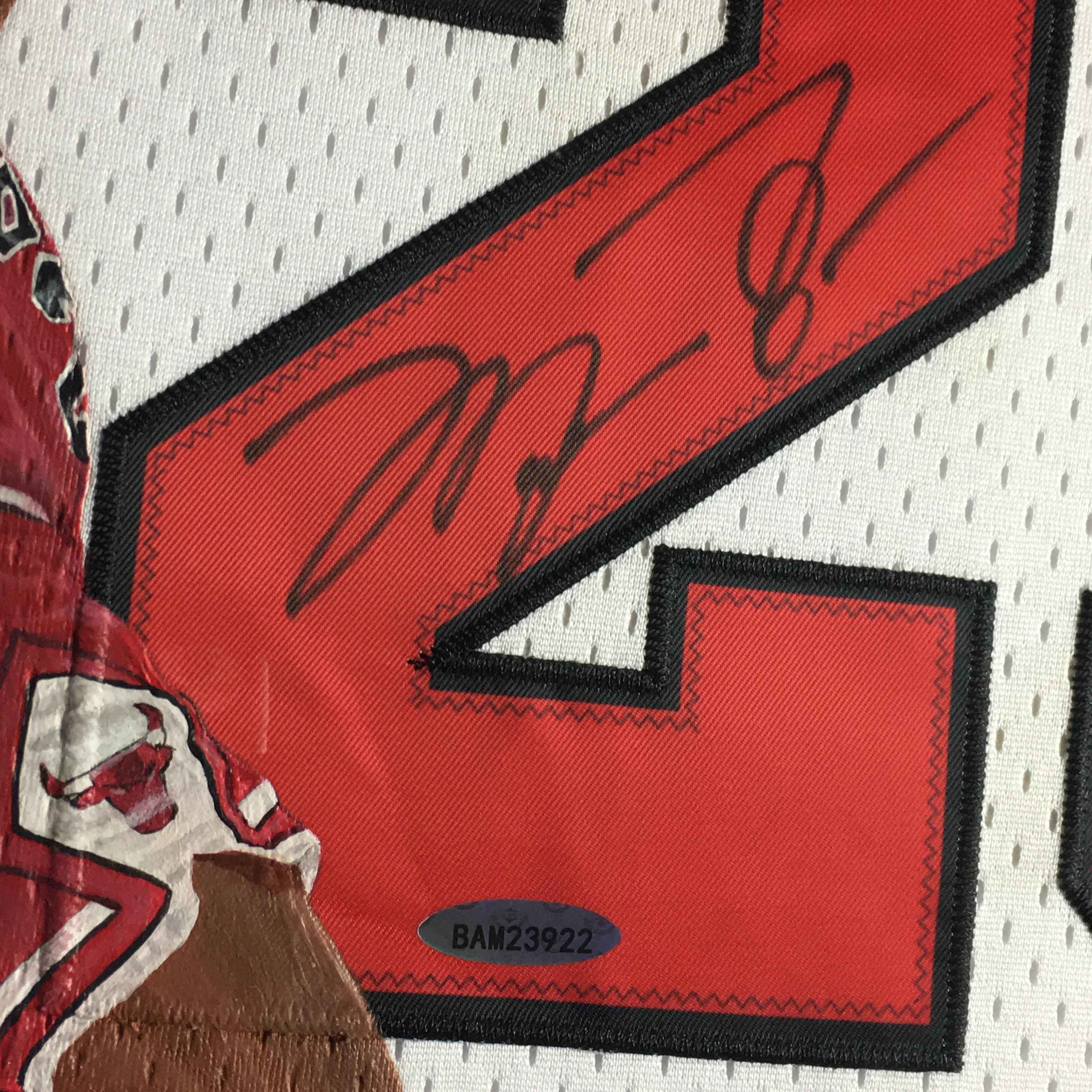 Michael Jordan Signed Jersey Framed