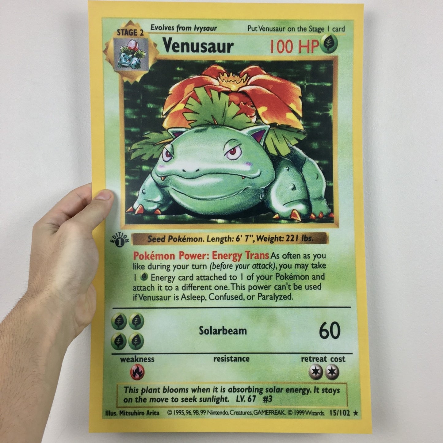 Venusaur Poster