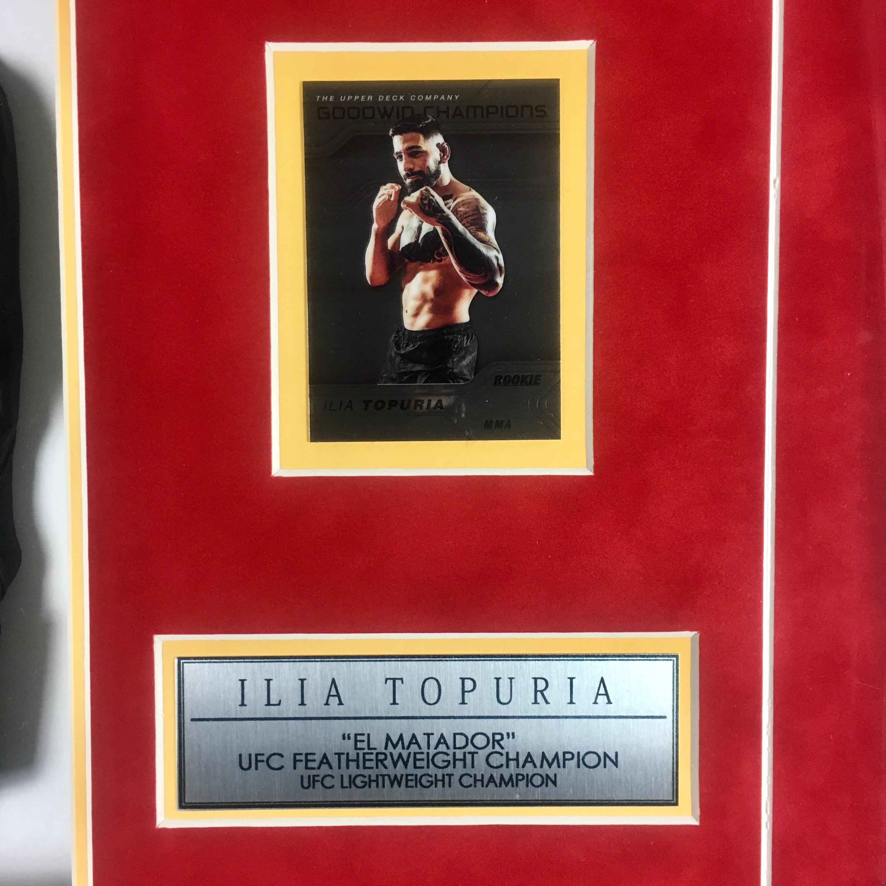 Ilia Topuria Signed Glove Framed