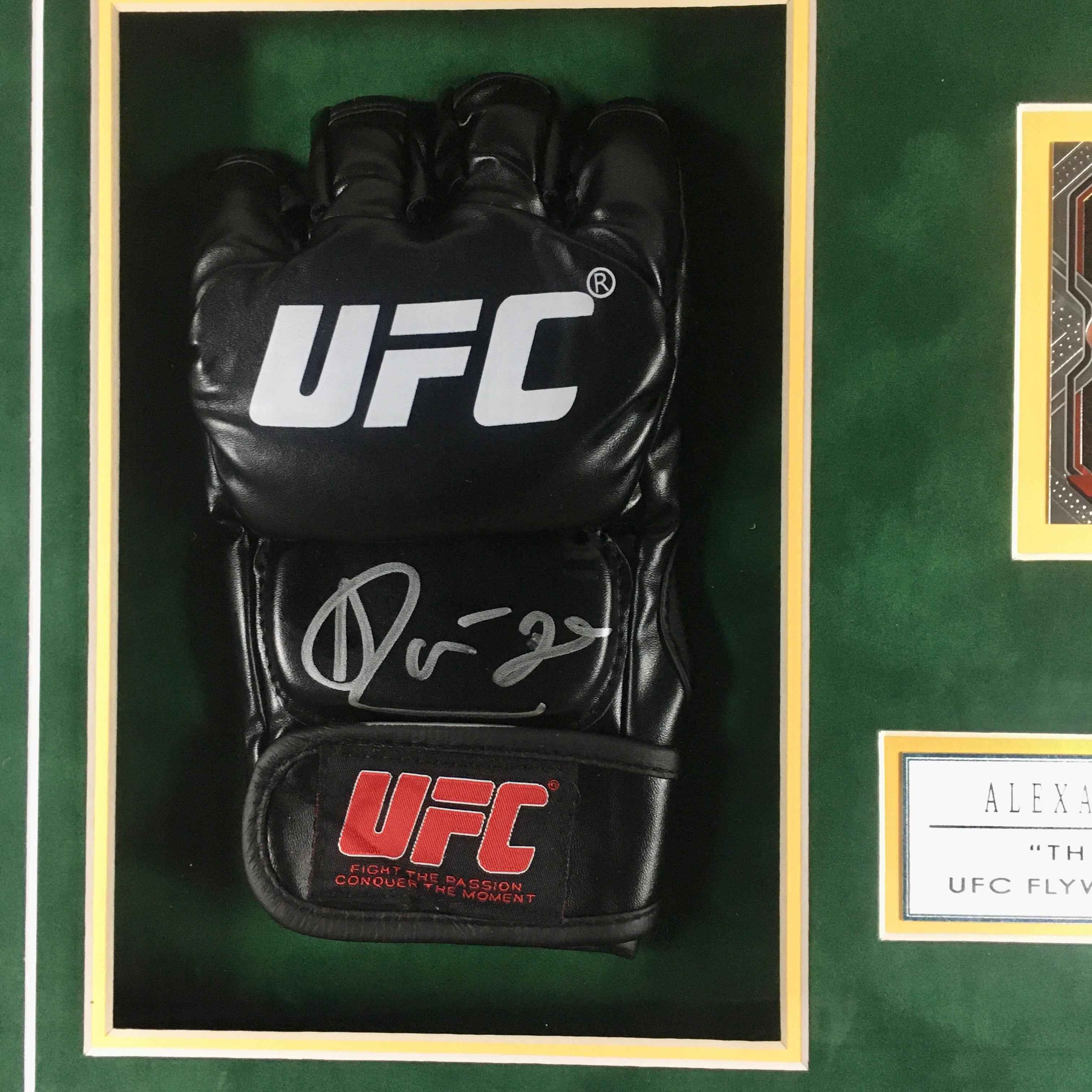Alexandre Pantoja Signed Glove Framed